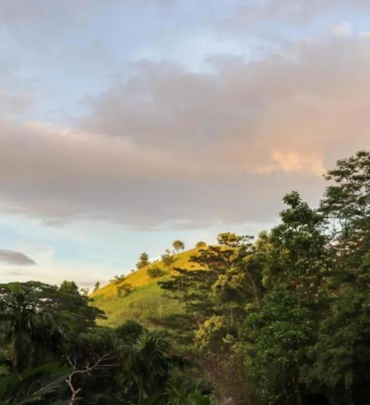 Hotel La Villa Lune Kandy
